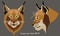 Two illustrated vector portraits of lynx, full face and profile, close-up.