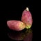 Two Indian aka Barbary figs, Opuntia ficus-indica on black background. Aka Prickly pear, tuna fruit. Square crop.