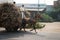 Two Indian boys ride a horse with loaded cart on a road