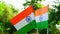 Two Indian tricolor national flags in nature background.