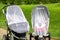 Two infant kids in strollers covered with protective net during walk. Baby carriage with anti-mosquito white cover. Midge protecti