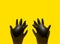 Two inflated medical black latex gloves on a yellow background.