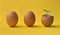Two intact standing eggs with a broken egg in which there`s a sprout