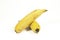 Two Isolated Ripe Yellow Bananas on White