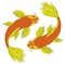 Two Japanese carps in the style of feng shui symbols.