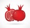 Two juicy ripe pomegranate pomegranates. vector illustration isolated on white background.
