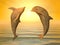 Two jumping dolphins at sunset