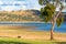 Two kangaroos grazing on green grass near the lake