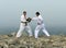 Two karateka fight