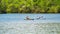 Two Kayakers on Carvins Cove Natural Reserve