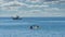 Two Kayakers with Greek fishing boat at anchor in the background off the coast of Lesvos