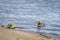 Two kayakers are launching whitewater kayaks from a beach on the Mississippi River below