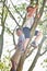 Two kids climbing a tree