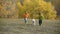 Two kids running with golden retriever at field