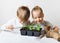 Two kids with sprouts and gardening tools, ecology and environment theme on white background