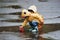 Two kids in yellow waterproof cloaks and boots playing with handmade paper boat outdoors after the rain together