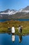 Two King Penguins standing on the edge of a calm pond, with reflections, sunny day, beautiful landscape of St. Andrews Bay, South