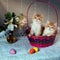 Two kittens  Breed  British Shorthair  Golden Chinchilla color  in a basket and Easter eggs next