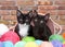 Two kittens peaking over a pile of yarn balls