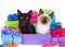 Two kittens sitting in a birthday present surrounded by more