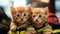Two kittens wearing fireman outfits, AI
