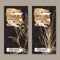 Two labels with Acorus calamus aka sweet flag and Alpinia galanga aka greater galangal sketch on black lace background.