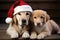 Two Labradors in a Santa hat. Christmas card, calendar, banner