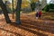 Two ladies walking and talking in the Kosciuszko Park