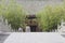 Two ladies walking in Temple of Chief Minister in Kaifeng city, central China