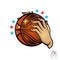 Two lady hands hold basketball ball with letter W. Sport logo for any woman team or competition isolated