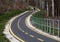 Two lane asphalt bicycle path. spring scene with forest.