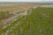 A two-lane road through the forest. View from the drone.