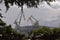 Two large cranes in the seaport on the background of trees.