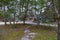 Two large exotic marble red dog statues surrounded by lush green trees near a long winding footpath in the garden