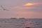 Two large identical ships going head-to-head, in a Thai river delta`s sunset background, with seagulls flying about.