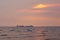 Two large identical ships going head-to-head, in a Thai river delta`s sunset background, with seagulls flying about.