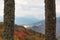 Two large moss covered tree trunks foreground framing view of mountains and clouds, autumn colors