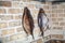 Two large smoked fish hanging on brick wall