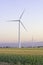 Two large windmills in a cornfield vertical