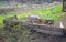 Two large wooden composting boxes of corral in a meadow under trees to store manure leaves and residues from the kitchen