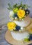 Two layered gilded wedding cake with flowers