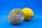 Two lemons, one with mold and one healthy on blue background