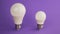 two light bulbs of different sizes stand on a purple background