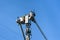 Two linemen working on a wireless communications radio and antenna installation using a bucket truck