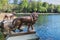 Two lion statues guard the pond in Het Loo Park