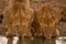 Two lionesses lie drinking from water hole