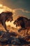 two lions fighting against each other at sunset