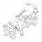 two litle birds and flower coloring page