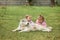 The two little baby girls playing with dog against green grass