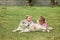 The two little baby girls playing with dog against green grass
